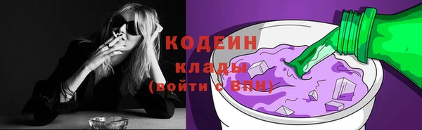 крисы Богородск