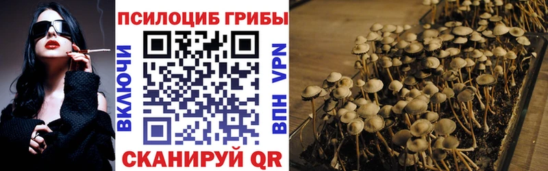 Галлюциногенные грибы Psilocybe  наркота  Армавир 